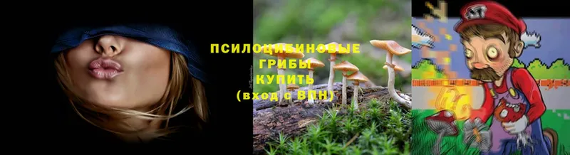 Галлюциногенные грибы Cubensis  Краснокамск 